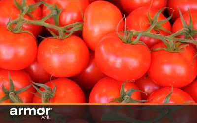 Quién es el empresario mexicano que se convirtió en narco cuando su negocio de tomates fracasó