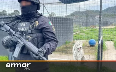 Imputarán por lavado de dinero y tráfico de especies al fundador de Jaguar Negro Tigre Blanco