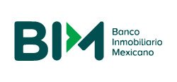 BIM