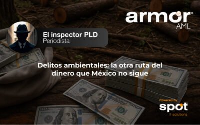 Delitos ambientales: la otra ruta del dinero que México no sigue