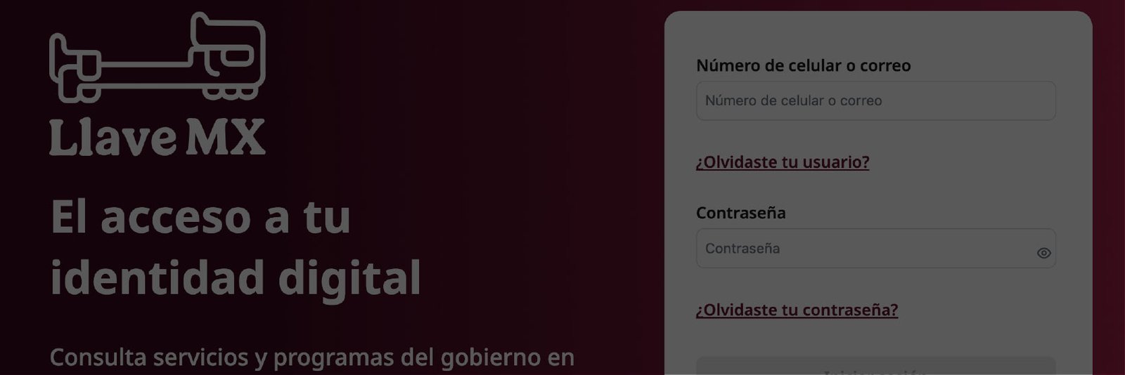 Captura de pantalla del portal oficial Llave MX para autenticación digital de empresas y ciudadanos en México